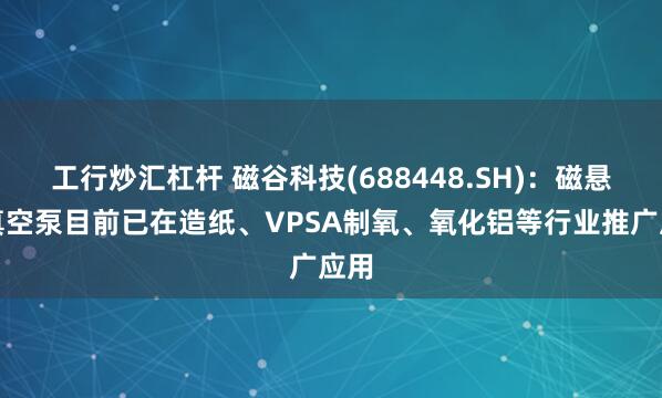 工行炒汇杠杆 磁谷科技(688448.SH)：磁悬浮真空泵目前已在造纸、VPSA制氧、氧化铝等行业推广应用