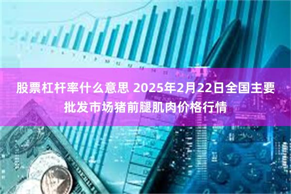 股票杠杆率什么意思 2025年2月22日全国主要批发市场猪前腿肌肉价格行情