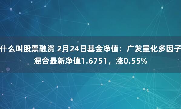 什么叫股票融资 2月24日基金净值：广发量化多因子混合最新净值1.6751，涨0.55%