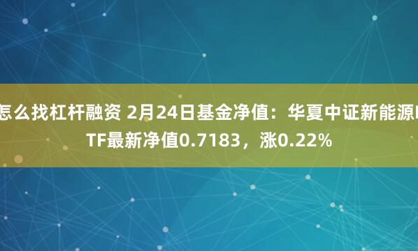 怎么找杠杆融资 2月24日基金净值：华夏中证新能源ETF最新净值0.7183，涨0.22%